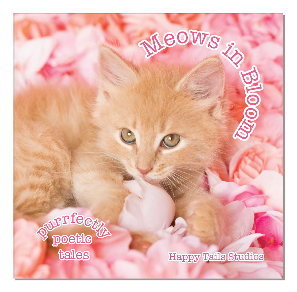 Meows in Bloom Kitten Haiku Board Book by Kelly Richardson