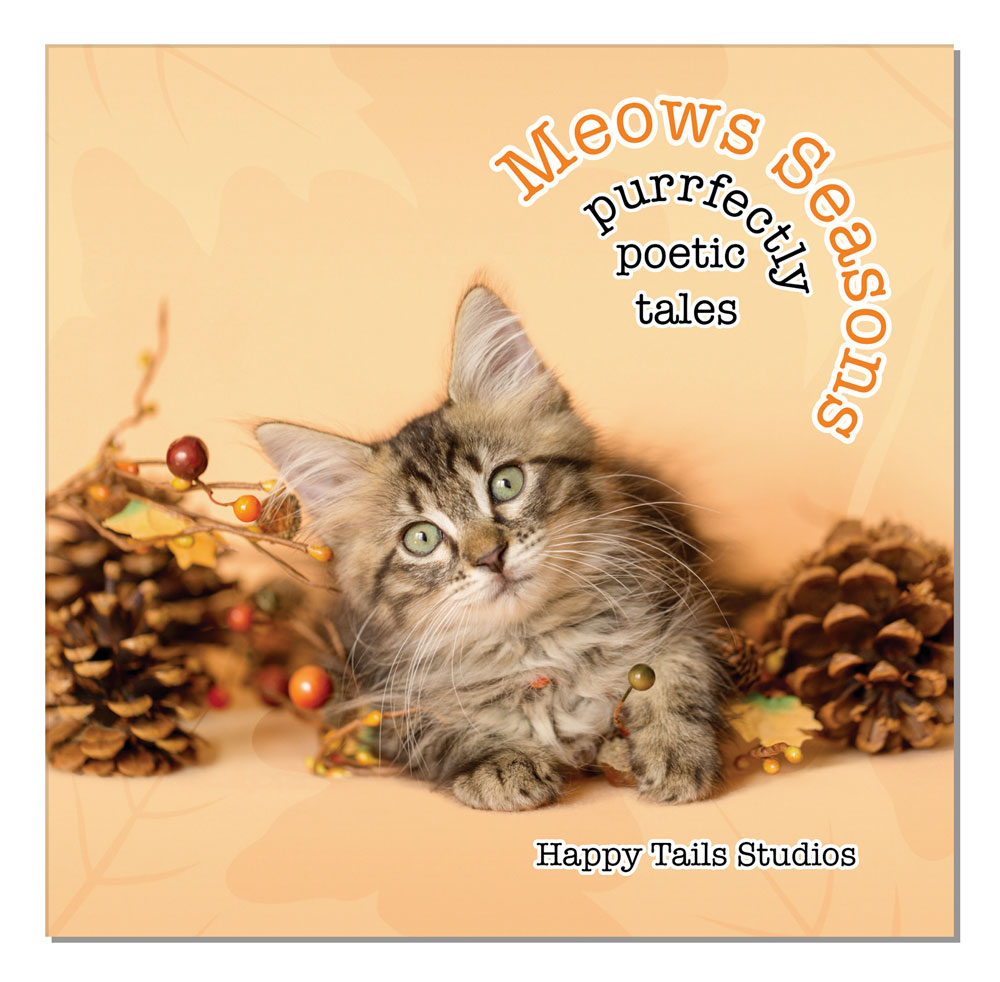 Meows Seasons Kitten Haiku Board Book by Kelly Richardson
